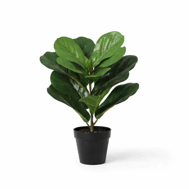 Kunst Ficus Lyrata (Geigenfeige) 40cm - Pflegeleicht & Naturgetreu