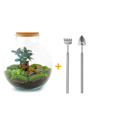 Bolder Bob Bonsai Flaschengarten DIY Set inkl. Zubehör