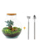 Bolder Bob Bonsai Flaschengarten DIY Set inkl. Zubehör Bild 1