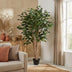 Künstlicher Ficus Benjamina (150 cm) – Pflegeleicht & Immergrün Bild 4