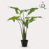Artificial Plant Alocasia Frydek, 120 cm – Evergreen Elegance Bild 3
