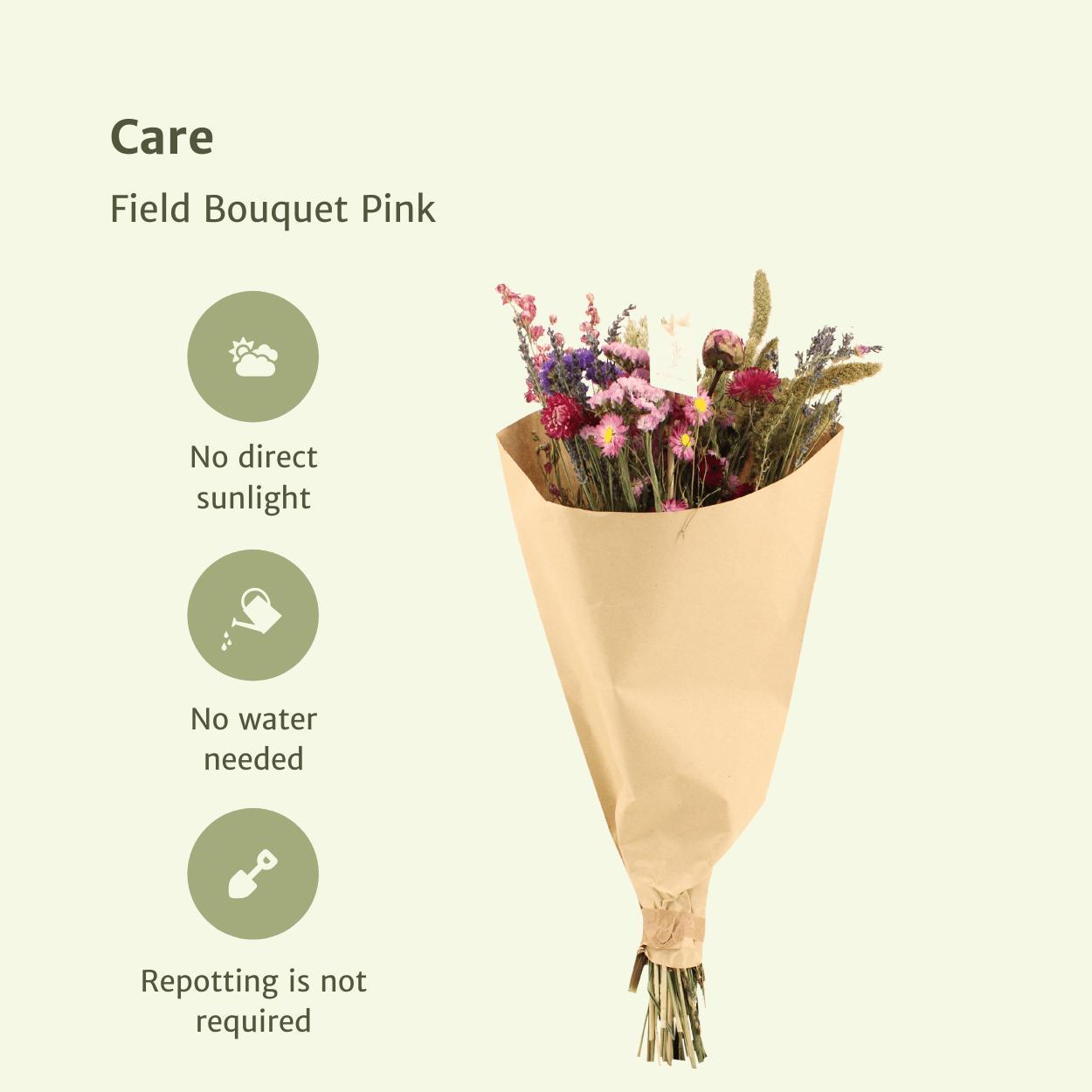 10x Field Bouquet Pink - 50cm Trockenstrauß