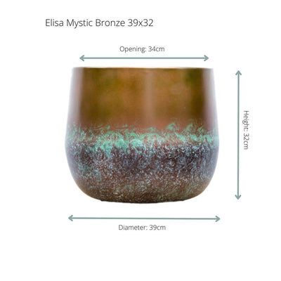 Mystic Bronze Houseplant: Elegant Decor for Your Home
