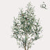 Kunstpflanze Olivenbaum Olea Europaea, 140 cm Bild 4