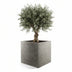 Beton Pflanztopf Grigio Cube D50xH50 - Modern & Stilvoll Bild 2
