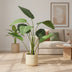 Strelitzia Kunstpflanze 120 cm im schwarzen Topf – Tropisches Flair ohne Pflege Bild 4