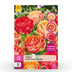 GreenboutiQ - Flower Bulbs - Tulip Gudoshnik Double - Bulbs Hardy Perennial - Double-flowered - 12 Pieces - Bulb size 11/12 - XXL Pack Bild 1