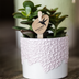 Kolibri Blumentopf Pink Ø6cm: Romantisch & Elegant Bild 3