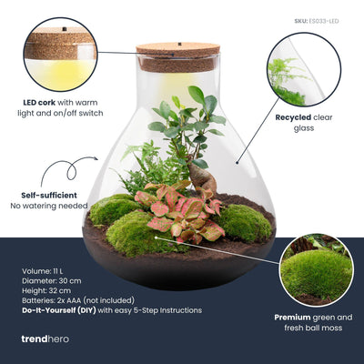 DIY Pflanzen-Terrarium mit LED-Licht: Bonsai Sam XL, Ø 30cm