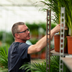 Areca-Palme (Dypsis Lutescens) Ø21cm | Höhe 130cm Bild 10