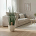 Sansevieria Mikado - Zimmerpflanze Ø19cm, ↕70cm Bild 3