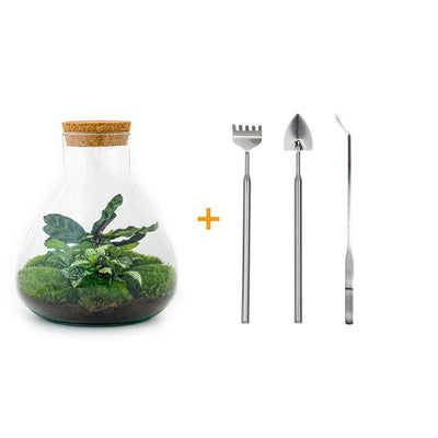 Pflanzterrarium Sammie DIY Bausatz mit Werkzeug & Anleitung