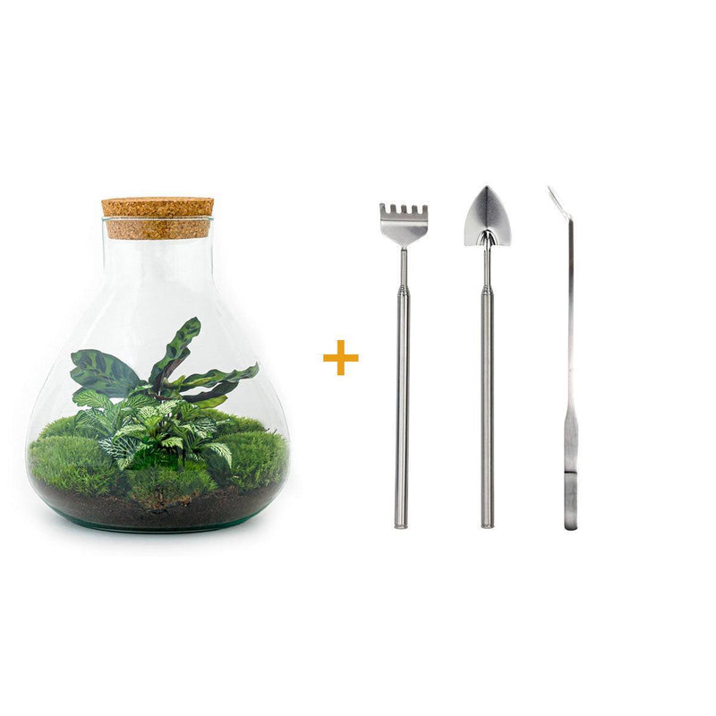 Sammie DIY Plant Terrarium Kit with Tools & Instructions