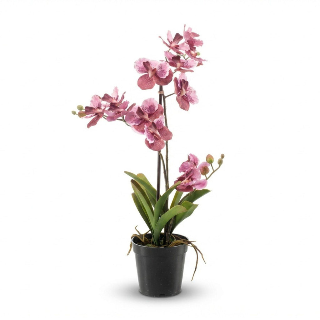 Orchidee Vanda kunstplant 60 cm - Oudroze - In pot - Artificial plant