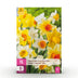 GreenboutiQ - Flower Bulbs - Daffodil Large Cupped mix - Bulbs Hardy Perennial - Colour Yellow and White - 15 Pieces - Bulb size 12/14 - XXL Pack Bild 1