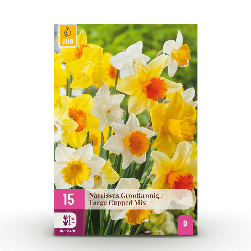 GreenboutiQ - Flower Bulbs - Daffodil Large Cupped mix - Bulbs Hardy Perennial - Colour Yellow and White - 15 Pieces - Bulb size 12/14 - XXL Pack